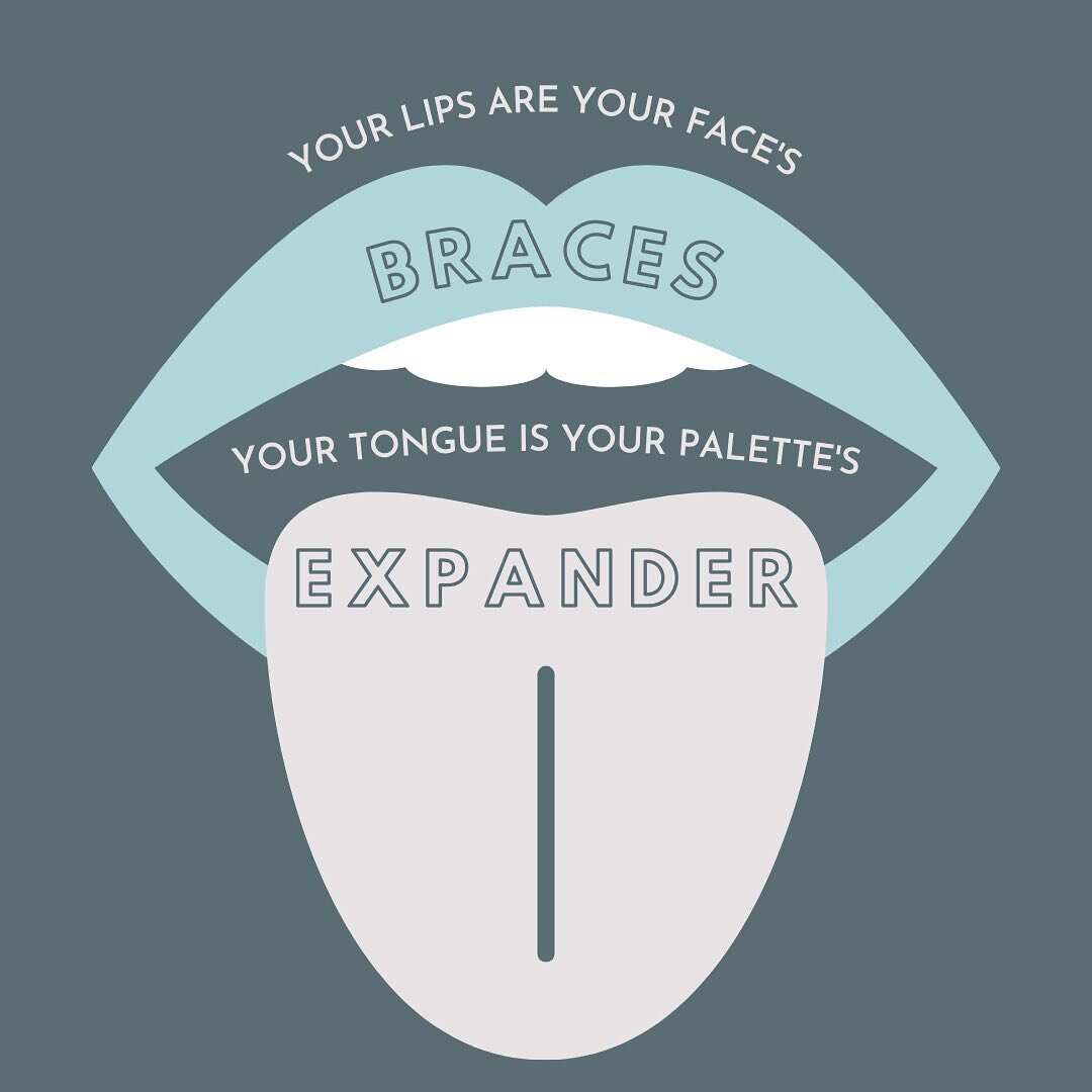 “Your lips are your face’s braces and your tongue is your palette’s expander!” - a popular saying among Myofunctional Therapists

@heyitsmadisonlynn shared this saying with me in our episode and it really encapsulates the impo