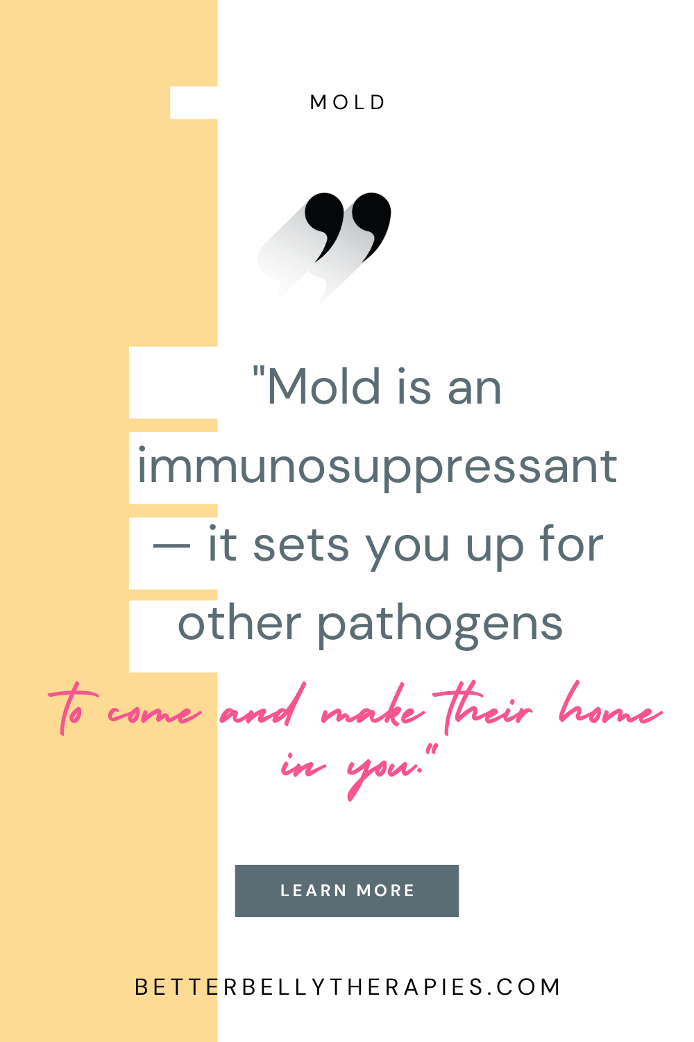 Learn the top symptoms of toxic mold, and how to test your home and body to see if YOU'RE dealing mold illness.