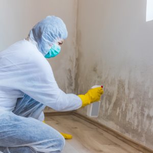 Can you read an ERMI test yourself? Yes! Here's how to interpret ERMI test results from your Envirobiomics home mold test in 5 minutes or less.